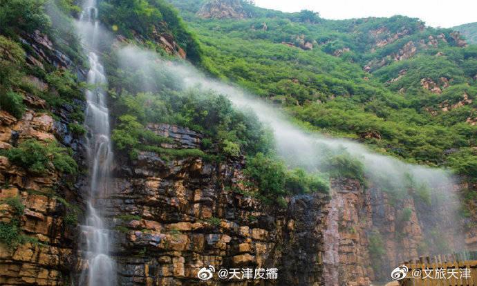 燃烧吧大脑免广告最新版